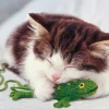 Apollo-Sha Jigsaw Puzzle 41-324 Pet Cat Still Sleepy (108 Pieces) Best