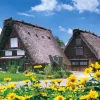 Apollo-Sha Jigsaw Puzzle 41-315 Japanese Scenery Shirakawa-Go (108 Pieces) New
