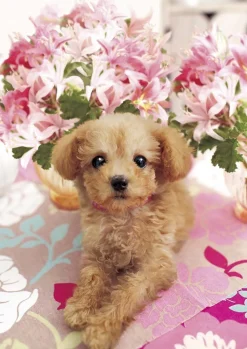 Apollo-Sha Jigsaw Puzzle 41-313 Dog Pretty Poodle (108 Pieces) Cheap