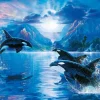 Apollo-Sha Jigsaw Puzzle 48-910 Lassen Whisper Of The Moon (300 Pieces) Best Sale