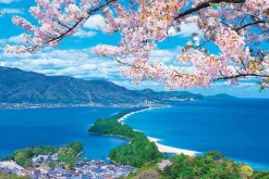 Sale Appleone 1000-868 Jigsaw Puzzle Blooming Cherry Blossoms In Amanohashidate (1000 Pieces)