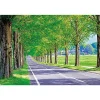 Shop Appleone 1000-853 Jigsaw Puzzle Tree-Lined Road (1000 Pieces)