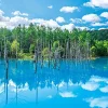 Best Sale Appleone Jigsaw 500-263 Biei Shirogane Blue Pond (500 Pieces)