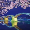 Clearance Appleone Jigsaw 500-268 Kintai Bridge Night Sakura (500 Pieces)
