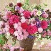 Online Appleone Jigsaw Puzzle 1000-834 Flower Princess Dahlia (1000 Pieces)