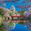 New Appleone Jigsaw Puzzle 1000-833 Himeji Castle Cherry Blossom Hyogo Japan (1000 Pieces)