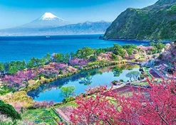Hot Appleone Jigsaw Puzzle 500-252 Hana Peach Mt. Fuji Shizuoka Japan (500 Pieces)