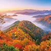 New Appleone Jigsaw Puzzle 1000-826 Onyu Valley Sea Of Clouds Shiga Japan (1000 Pieces)