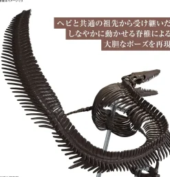 Best Bandai Imaginary Skeleton 1/32 Mosasaurus Plastic Model
