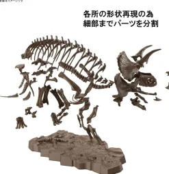 Best Bandai Imaginary Skeleton 1/32 Triceratops Plastic Model