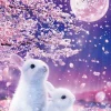 Discount Beverly 81-129 Jigsaw Puzzle Bunnies Under The Moonlight With Cherry Blossoms (1000 Pieces)