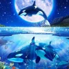 Cheap Beverly 81-133 Jigsaw Puzzle Eternal Moon Orca (1000 Pieces)