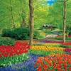 Fashion Beverly 51-269 Jigsaw Puzzle Keukenhof Park In Nederland (1000 Pieces)