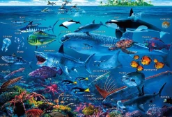 Hot Beverly 100-029 Jigsaw Puzzle Let's Learn The Sea Animals In Japanese (100 L-Pieces)
