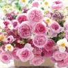 Outlet Beverly 93-169 Jigsaw Puzzle Life Filled With Flowers Primavera (300 Pieces)