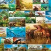 Clearance Beverly 83-098 Jigsaw Puzzle Life Of Dinosaurs (300 Pieces)