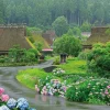 Clearance Beverly 51-296 Jigsaw Puzzle Miyama-Cho Japan Where Hydrangea Bloom (1000 Pieces)