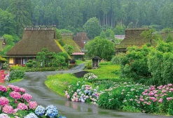 Clearance Beverly 51-296 Jigsaw Puzzle Miyama-Cho Japan Where Hydrangea Bloom (1000 Pieces)