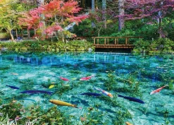 Shop Beverly 66-218 Jigsaw Puzzle Monet's Pond With Colorful Koi Fish (600 Pieces)