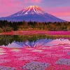 Hot Beverly 51-278 Jigsaw Puzzle Mt.Fuji At Sunfall (1000 Pieces)