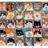 Online Beverly 93-173 Jigsaw Puzzle Okamoto Hajime Cat Collection (300 Pieces)