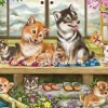 Cheap Beverly 31-525 Jigsaw Puzzle Shiba Inu Family On The Poarch (1000 Pieces)