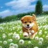 Cheap Beverly 83-108 Jigsaw Puzzle Shiba Inu In A Dandelion Field (300 Pieces)