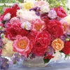 Fashion Beverly 66-158 Jigsaw Puzzle Vase Of Flowers (600 Pieces)