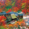 Store Beverly Jigsaw Puzzle 51-266 Autumn Leaves Nyuto Onsen In Akita Japan (1000 Pieces)