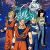 Best Sale Beverly Jigsaw Puzzle 100-012 Dragon Ball Super Universe 7 (100 L-Pieces)