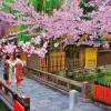 Clearance Beverly Jigsaw Puzzle 66-140 Japan Kyoto Gion In Bloom (600 Pieces)