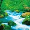 Store Beverly Jigsaw Puzzle 33-177 Oirase Gorge (300 Pieces)