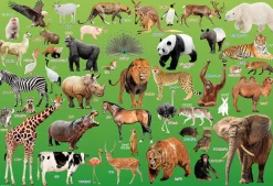 Flash Sale Beverly Jigsaw Puzzle 80-015 Zoo Animals (80 L-Pieces)