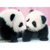 Flash Sale Beverly Jigsaw Puzzle L74-164 Pretty Pet Series Hello! Panda (150 L-Pieces)