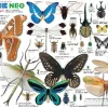 Cheap Beverly Jigsaw Puzzle L74-157 World Insects Encyclopedia (150 L-Pieces)