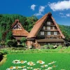 Fashion Beverly Jigsaw Puzzle M81-595 Beautiful Shirakawago Japan (1000 S-Pieces)