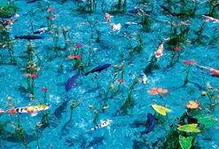 Cheap Beverly Jigsaw Puzzle M81-564 Monet's Pond Gifu Japan (1000 S-Pieces)