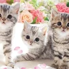 Discount Beverly Jigsaw Puzzle M108-206 Pretty Pet Kitty Cats (108 S-Pieces)