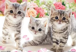 Discount Beverly Jigsaw Puzzle M108-206 Pretty Pet Kitty Cats (108 S-Pieces)