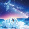 Best Beverly Jigsaw Puzzle M81-584 Wilfar Promise Under The Stars (1000 S-Pieces)
