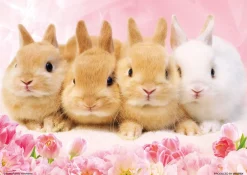 Discount Beverly Jigsaw Puzzle P88-022 Baby Bunnies (88 L-Pieces)