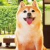 Best Sale Beverly P33-188 Jigsaw Puzzle Happy Dog (300 Pieces)