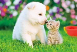 Best Beverly P33-198 Jigsaw Puzzle Puppy And Kitten Love (300 Pieces)