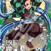 Ensky 208-066 Jigsaw Puzzle Demon Slayer: Kimetsu No Yaiba Tanjiro Kamado (208 Pieces) New