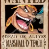 Ensky 208-071 Jigsaw Puzzle One Piece Marshall D. Teach Wanted Poster (208 Pieces) Discount