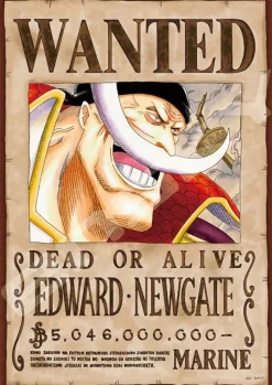 Ensky 208-075 Jigsaw Puzzle One Piece Edward Newgate Wanted Poster (208 Pieces) Flash Sale