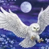 Epoch 54-216 Jigsaw Puzzle Japanese Art Owl By Kayomi Harai (2000 S-Pieces) Cheap
