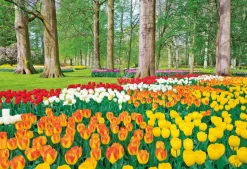Epoch 79-368 Jigsaw Puzzle Keukenhof Park With Tulips Netherlands (450 S-Pieces) Discount
