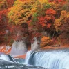Epoch Jigsaw Puzzle 25-170 Autumn Leaves Fukiware Fall Gumma (300 Pieces) New