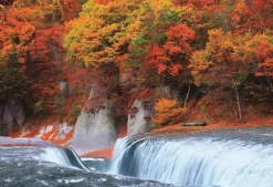 Epoch Jigsaw Puzzle 25-170 Autumn Leaves Fukiware Fall Gumma (300 Pieces) New